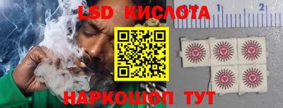 apvp Можга