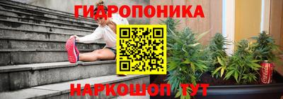 ECSTASY Можайск