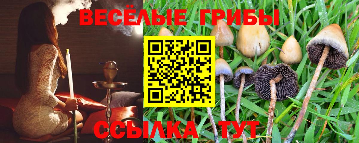 Псилоцибиновые грибы Magic Shrooms  Вход с VPN  Фурманов 